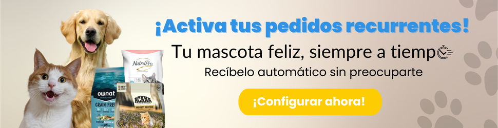 Pedidos recurrentes
